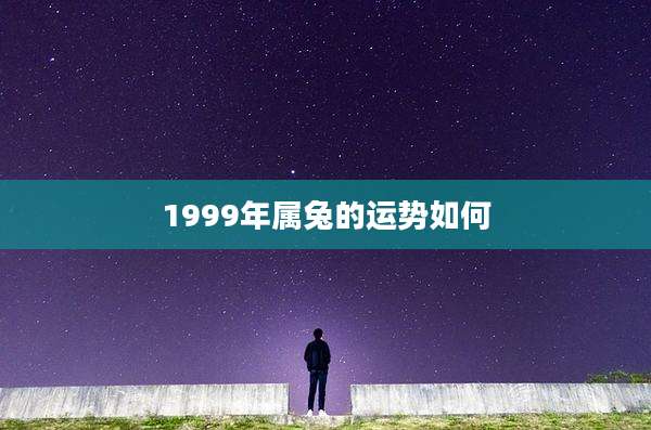 1999年属兔的运势如何