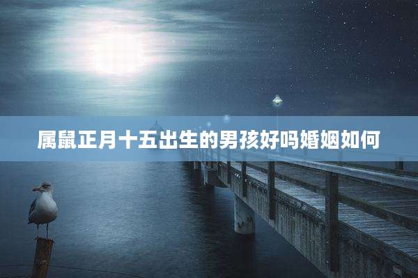 属鼠正月十五出生的男孩好吗婚姻如何