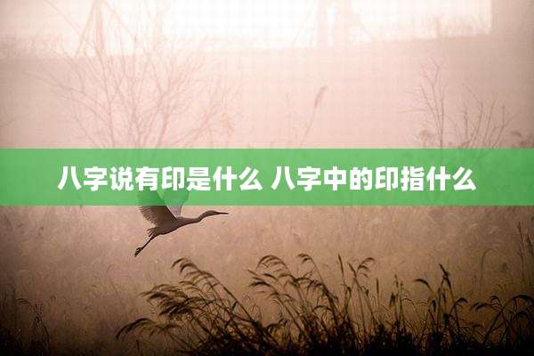八字说有印是什么 八字中的印指什么