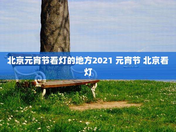 北京元宵节看灯的地方2021 元宵节 北京看灯