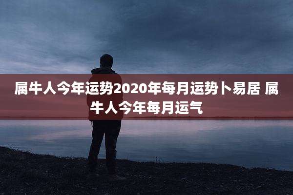 属牛人今年运势2020年每月运势卜易居 属牛人今年每月运气