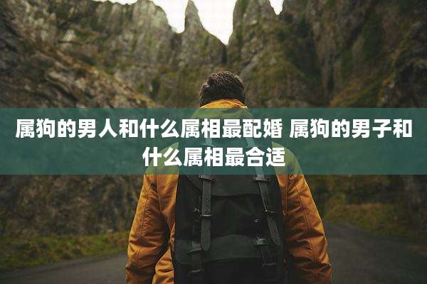属狗的男人和什么属相最配婚 属狗的男子和什么属相最合适