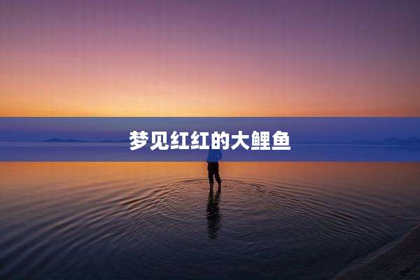 梦见红红的大鲤鱼