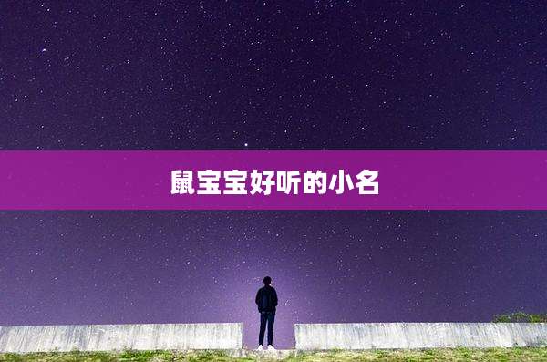鼠宝宝好听的小名