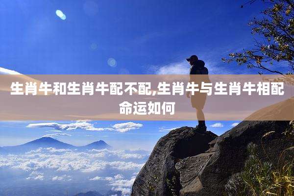 生肖牛和生肖牛配不配,生肖牛与生肖牛相配命运如何