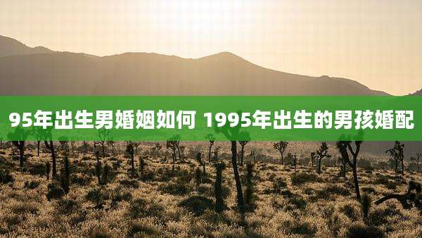 95年出生男婚姻如何 1995年出生的男孩婚配