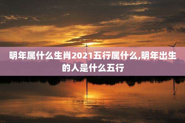 明年属什么生肖2021五行属什么,明年出生的人是什么五行