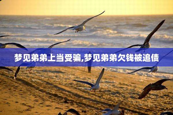梦见弟弟上当受骗,梦见弟弟欠钱被追债
