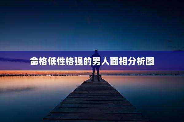 命格低性格强的男人面相分析图
