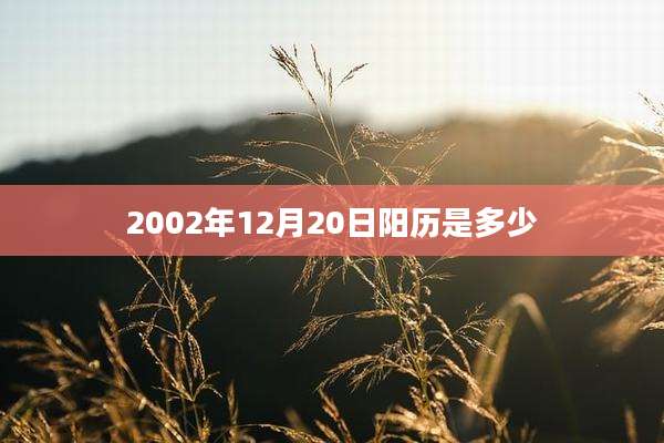 2002年12月20日阳历是多少