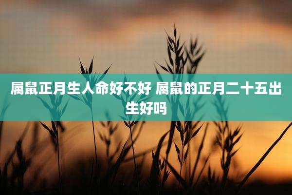 属鼠正月生人命好不好 属鼠的正月二十五出生好吗