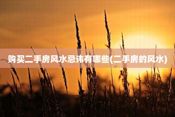 购买二手房风水忌讳有哪些(二手房的风水)