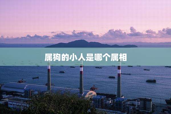 属狗的小人是哪个属相