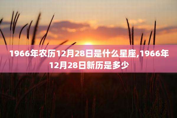 1966年农历12月28日是什么星座,1966年12月28日新历是多少