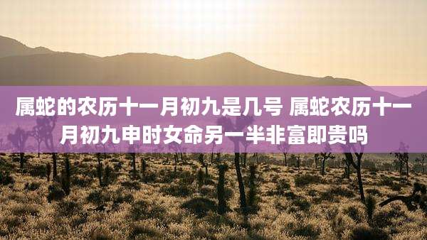 属蛇的农历十一月初九是几号 属蛇农历十一月初九申时女命另一半非富即贵吗