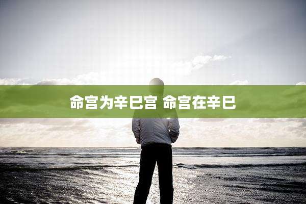 命宫为辛巳宫 命宫在辛巳