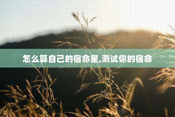 怎么算自己的宿命星,测试你的宿命