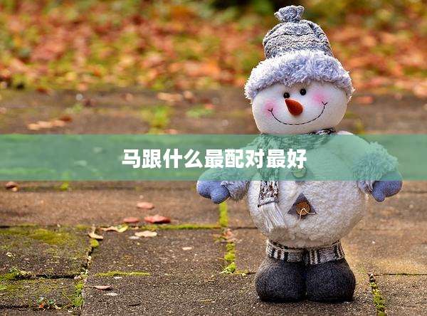马跟什么最配对最好