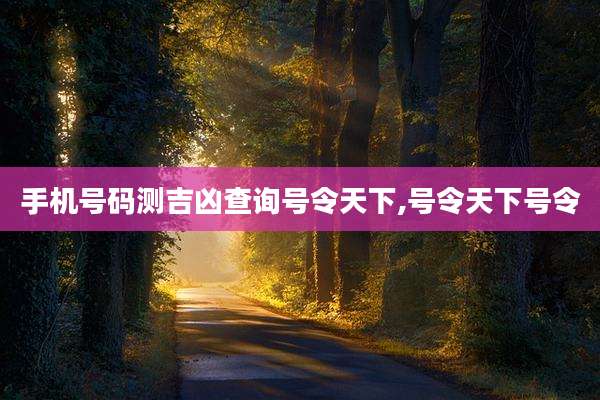 手机号码测吉凶查询号令天下,号令天下号令