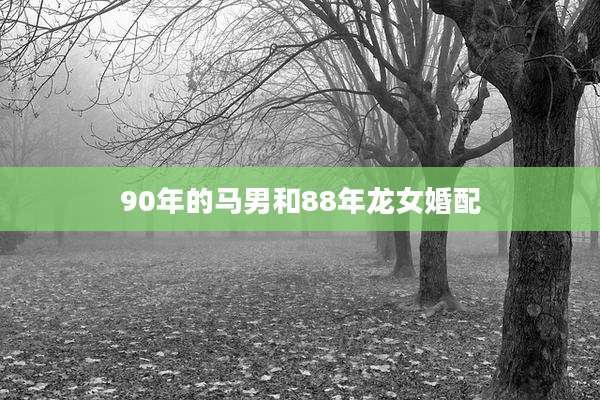 90年的马男和88年龙女婚配