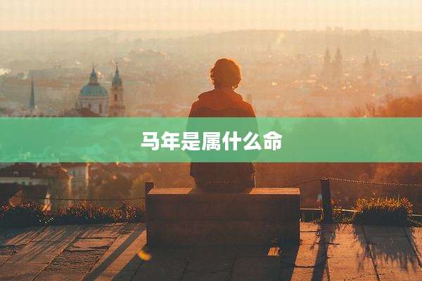 马年是属什么命