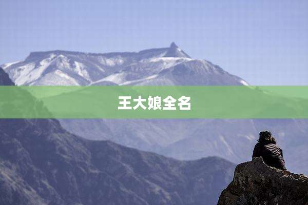王大娘全名