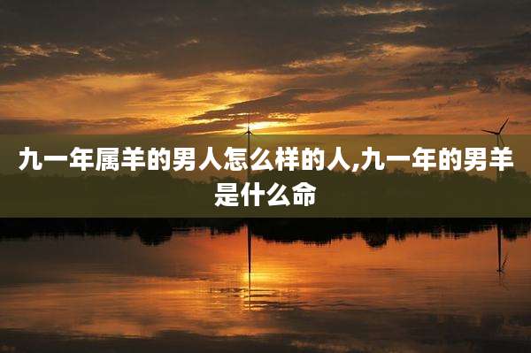 九一年属羊的男人怎么样的人,九一年的男羊是什么命