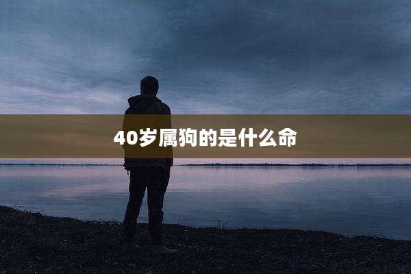 40岁属狗的是什么命