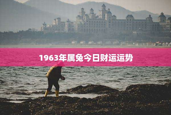 1963年属兔今日财运运势