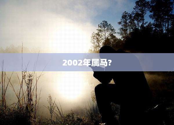 2002年属马?