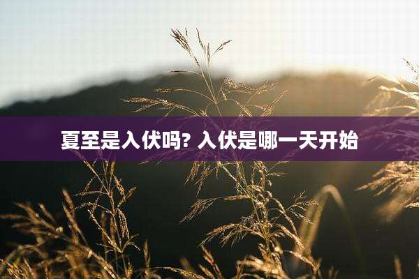 夏至是入伏吗? 入伏是哪一天开始