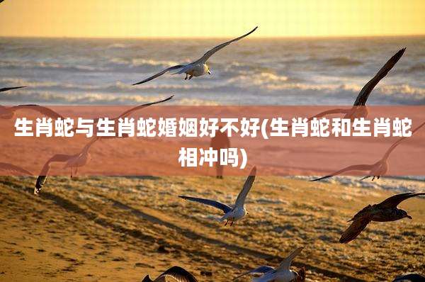 生肖蛇与生肖蛇婚姻好不好(生肖蛇和生肖蛇相冲吗)