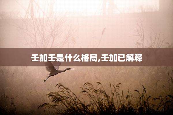 壬加壬是什么格局,壬加已解释