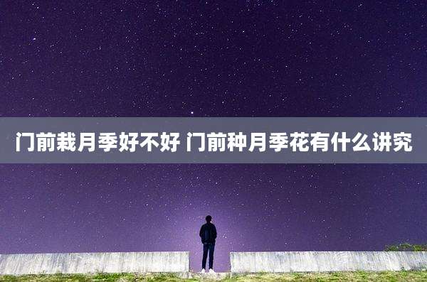门前栽月季好不好 门前种月季花有什么讲究