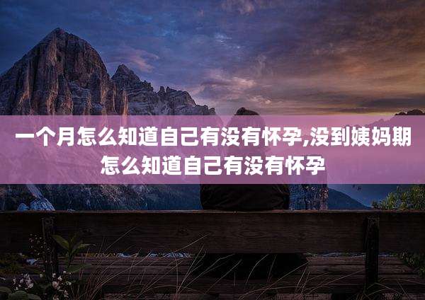 一个月怎么知道自己有没有怀孕,没到姨妈期怎么知道自己有没有怀孕