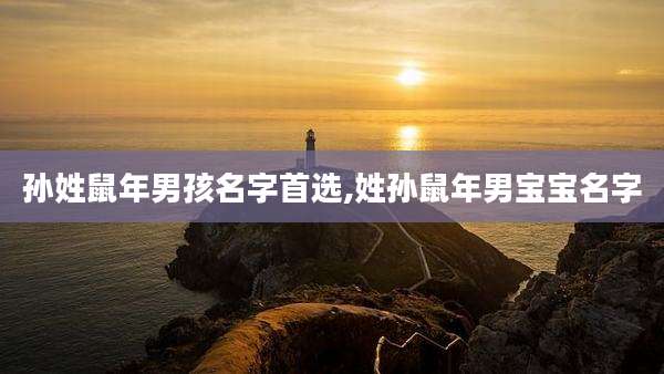 孙姓鼠年男孩名字首选,姓孙鼠年男宝宝名字