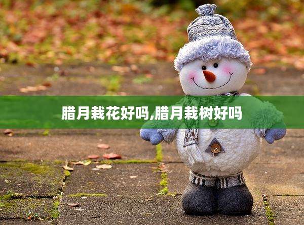 腊月栽花好吗,腊月栽树好吗