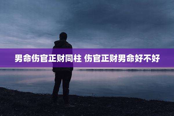 男命伤官正财同柱 伤官正财男命好不好