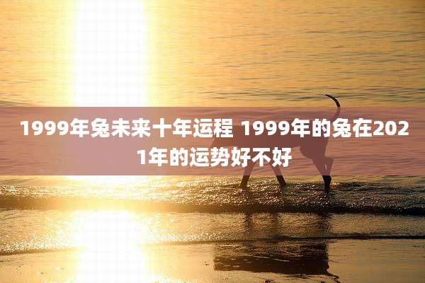 1999年兔未来十年运程 1999年的兔在2021年的运势好不好