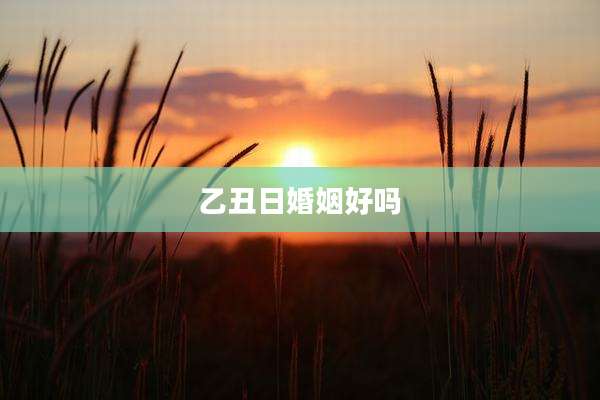 乙丑日婚姻好吗