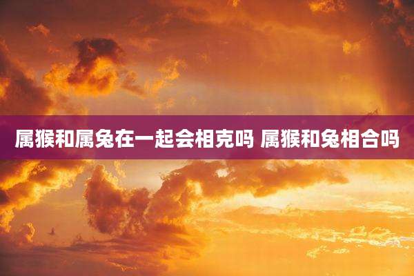 属猴和属兔在一起会相克吗 属猴和兔相合吗