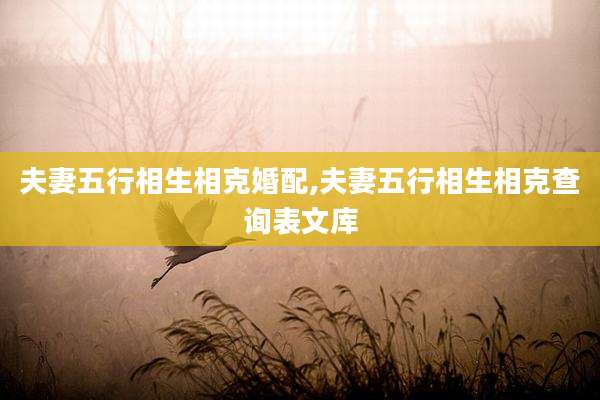 夫妻五行相生相克婚配,夫妻五行相生相克查询表文库