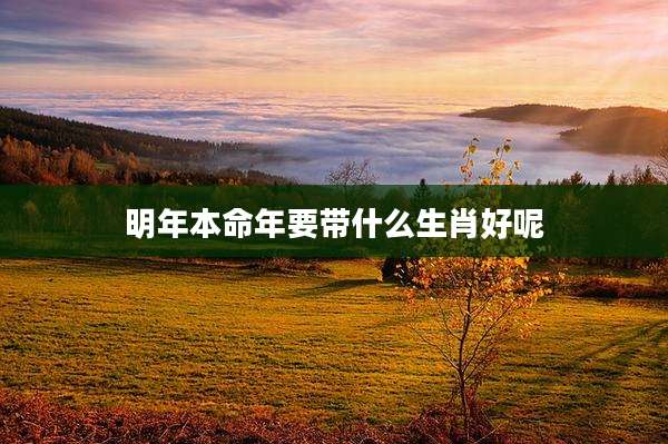 明年本命年要带什么生肖好呢