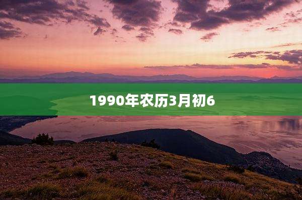 1990年农历3月初6