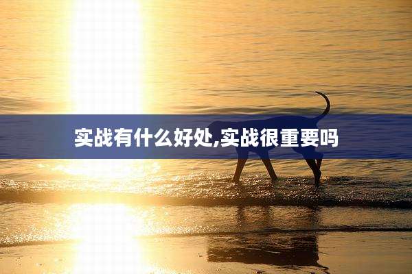 实战有什么好处,实战很重要吗