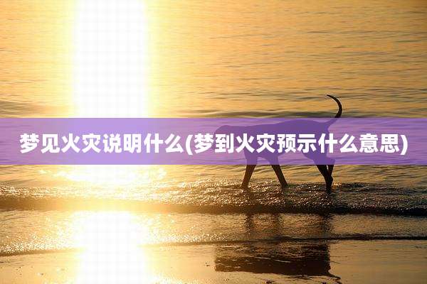 梦见火灾说明什么(梦到火灾预示什么意思)