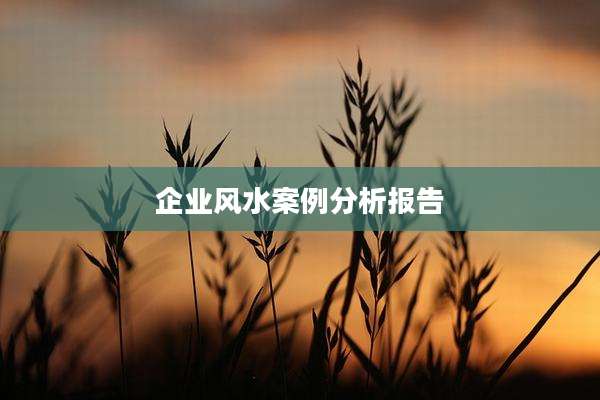 企业风水案例分析报告