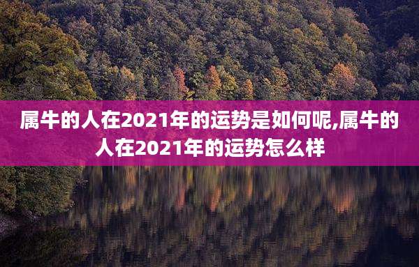 属牛的人在2021年的运势是如何呢,属牛的人在2021年的运势怎么样
