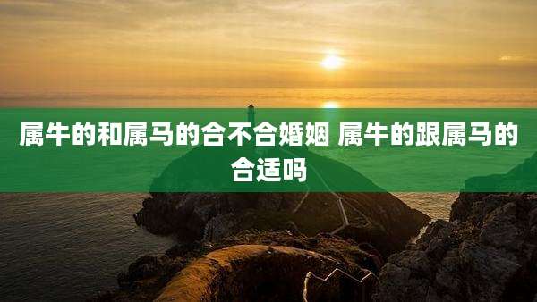 属牛的和属马的合不合婚姻 属牛的跟属马的合适吗