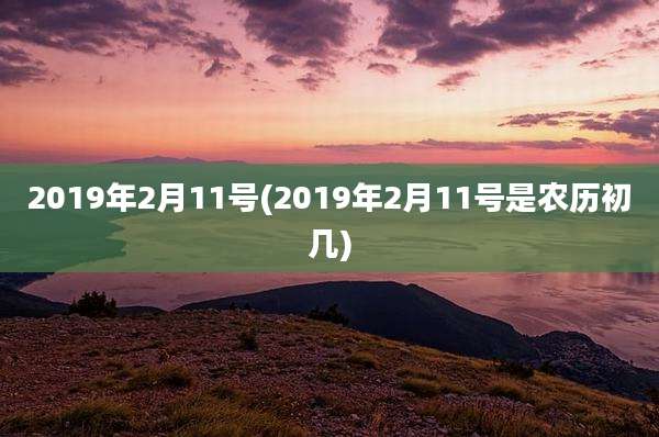 2019年2月11号(2019年2月11号是农历初几)